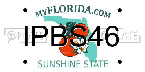 IPBS46 Florida License Plate