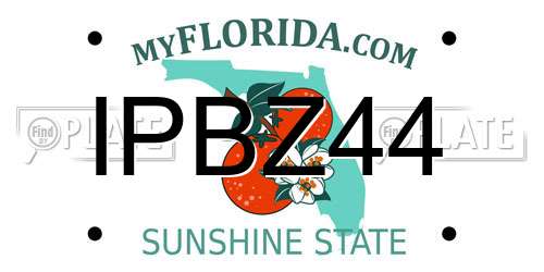 IPBZ44 Florida License Plate
