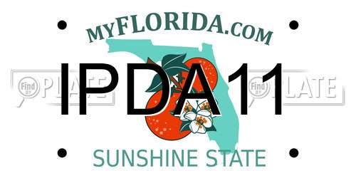 IPDA11 Florida License Plate
