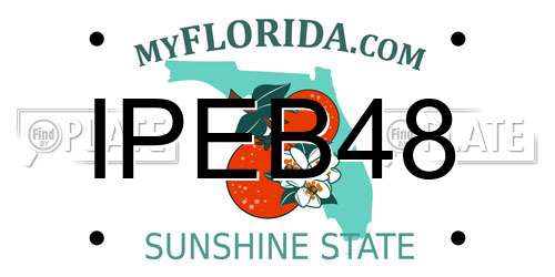 IPEB48 Florida License Plate
