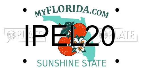 IPEL20 Florida License Plate
