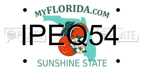 IPEQ54 Florida License Plate