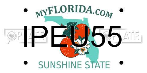 IPEU55 Florida License Plate