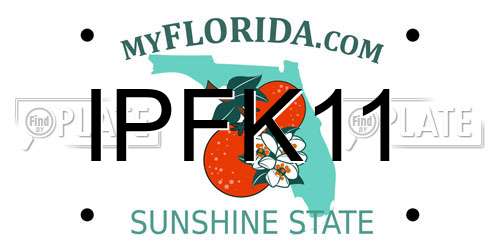 IPFK11 Florida License Plate