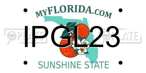 IPGL23 Florida License Plate