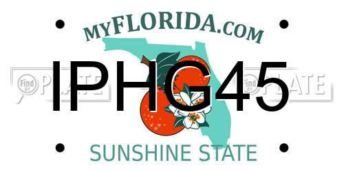 IPHG45 Florida License Plate