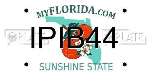IPIB44 Florida License Plate