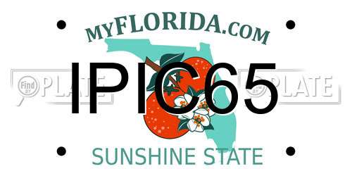IPIC65 Florida License Plate