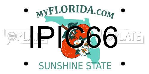 IPIC66 Florida License Plate