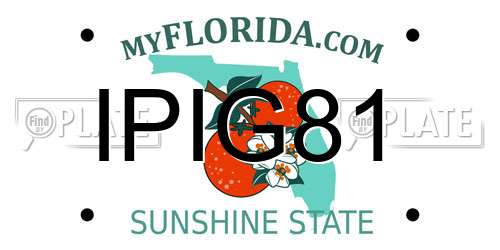 IPIG81 Florida License Plate