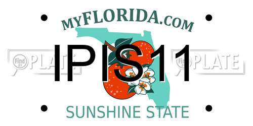 IPIS11 Florida License Plate