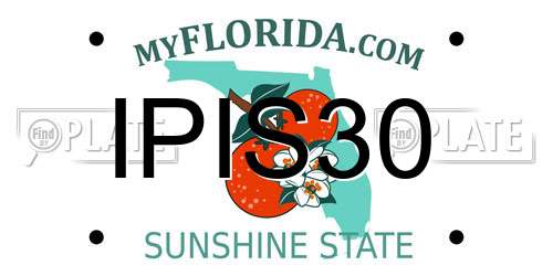 IPIS30 Florida License Plate