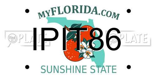IPIT86 Florida License Plate