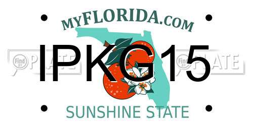 IPKG15 Florida License Plate