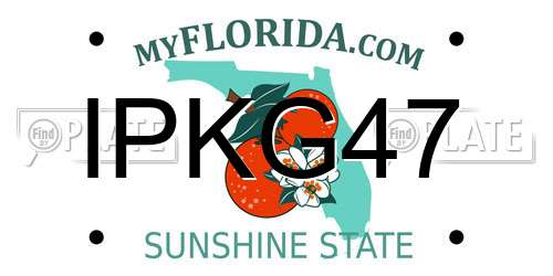 IPKG47 Florida License Plate