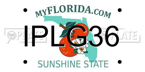 IPLG36 Florida License Plate
