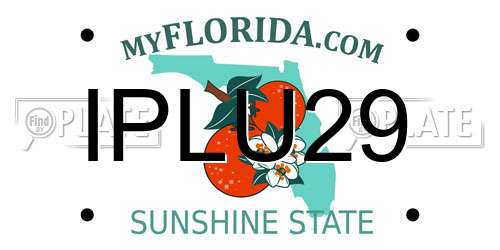 IPLU29 Florida License Plate