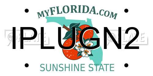 IPLUGN2 Florida License Plate