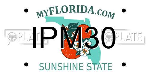 IPM30 Florida License Plate