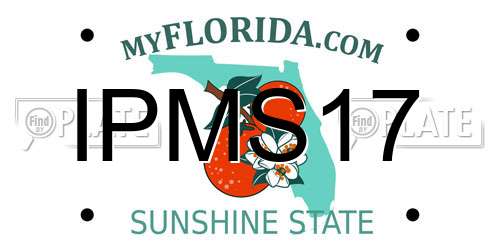 IPMS17 Florida License Plate