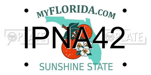 IPNA42 Florida License Plate