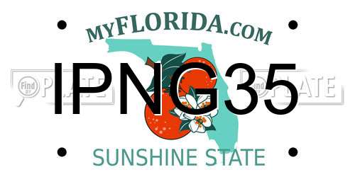 IPNG35 Florida License Plate