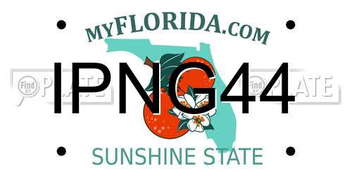 IPNG44 Florida License Plate