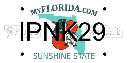 IPNK29 Florida License Plate