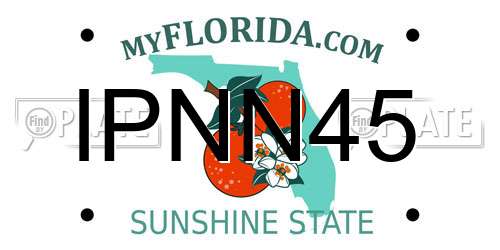 IPNN45 Florida License Plate