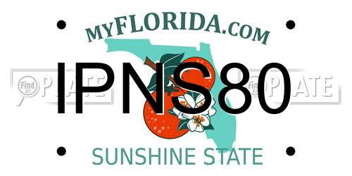 IPNS80 Florida License Plate