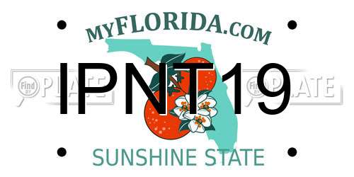 IPNT19 Florida License Plate