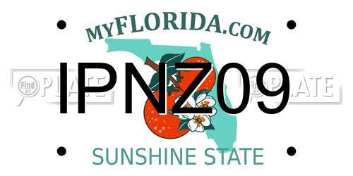 IPNZ09 Florida License Plate