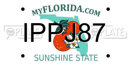 IPPJ87 Florida License Plate