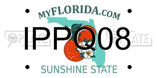 IPPQ08 Florida License Plate