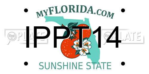 IPPT14 Florida License Plate