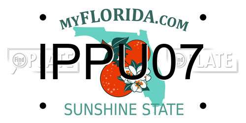 IPPU07 Florida License Plate