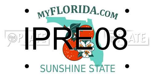 IPRE08 Florida License Plate