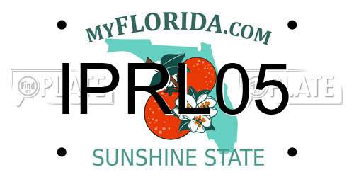 IPRL05 Florida License Plate