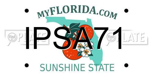 IPSA71 Florida License Plate