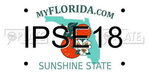 IPSE18 Florida License Plate