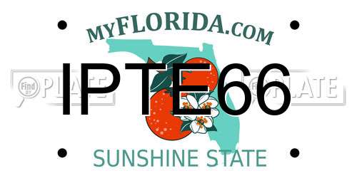 IPTE66 Florida License Plate
