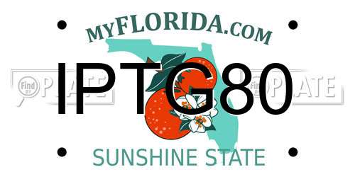 IPTG80 Florida License Plate