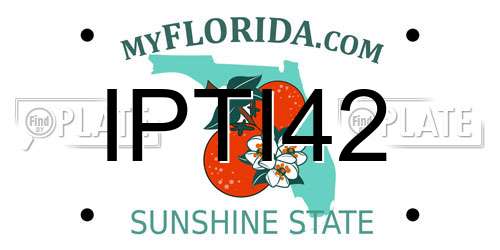 IPTI42 Florida License Plate