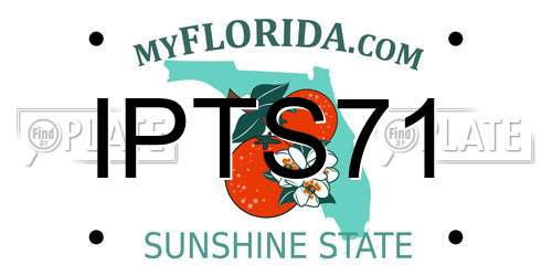 IPTS71 Florida License Plate