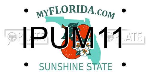 IPUM11 Florida License Plate