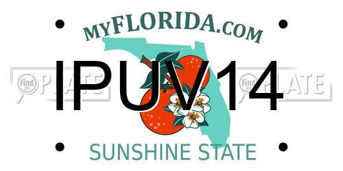 IPUV14 Florida License Plate