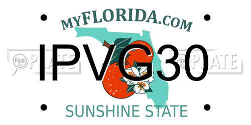 IPVG30 Florida License Plate