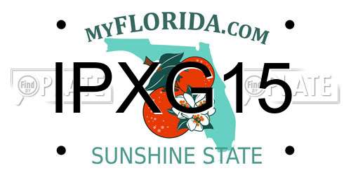 IPXG15 Florida License Plate