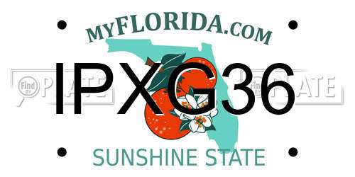 IPXG36 Florida License Plate