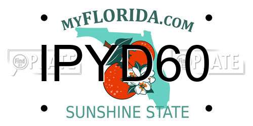 IPYD60 Florida License Plate